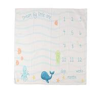 Adfaga Milestone Blanket Soft Luxurious Machine Washable Monthly Photo Prop Mat For Newborn Photography First Year Memories 39.4x39.4 Inches Polyester