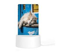 ADFGYERH Sleeping Little Cat Night Light Acrylic Material Easy Installation, Home Decor USB Interface Power Supply, Lamp for Restaurant Bar Cafe Room Decor