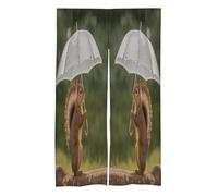 ADFGYERH Squirrel Hold A Umbrellas Blackout Curtains 2 Panels,Door Curtains Extra Wide 17" W X 57" L,Door Privacy Curtain for Window/Living Room/Doorways (Excluding Telescopic Poles)