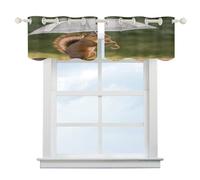 ADFGYERH Squirrel Hold A Umbrellas Blackout Curtains, Valance Curtain Modern Art, Short Curtain Rod Pocket for Kitchen Windows Bathroom Bedroom,52 X 18.1 Inch