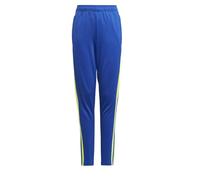 adidas Junior Squadra 21 Training Pants Blue