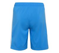 Adidas 3 Stripes Swimming Shorts