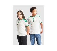 adidas Algeria 2026 Home Shirt Junior - White 11-12Y