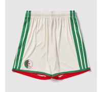 Algeria 26 Home Shorts