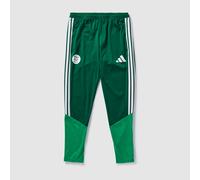 adidas Algeria 2026 Training Pants