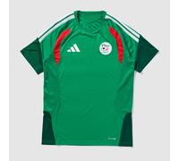 adidas Algeria 2026 Training Shirt
