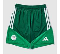 Algeria 26 Training Shorts