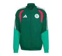 Algeria presentation jacket Tiro Coupe du Monde 2026 Vert XL