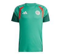 Adidas Algeria 26/27 Training Short Sleeve T-shirt Green M / Regular Men