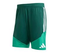 Adidas Algeria 26/27 Training Shorts