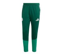 Adidas Algeria 26/27 Training Tracksuit Pants