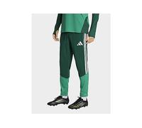 Adidas Algeria 26/27 Training Tracksuit Pants Green L / Regular Man
