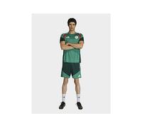 adidas Algeria 26 Training Shorts - Green - Mens 2XL