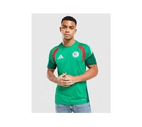 adidas Algeria Training Shirt - Green - Mens L