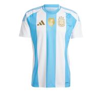 adidas Argentina 24 Home Fan Edition Soccer Asia Sizing 'White Blue Burst' IP8409 S