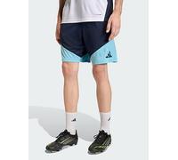 Argentina 26 Tiro Training Shorts