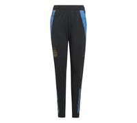 Adidas Argentina Tiro Competition Junior Training Pant 2024 Colour: Carbon, Size: 13-14 years
