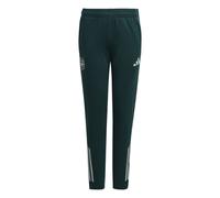 Adidas Arsenal Competition Junior Training Pant 2025/2026 Size: 13-14 years, Colour: Green