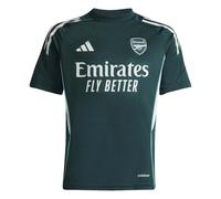 Adidas Arsenal Competition Training Short Sleeve Junior Jersey 2025/2026 Size: 13-14 years, Colour: Charcoal