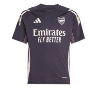 Adidas Arsenal Tiro Junior Training Short Sleeve Jersey 2024/2025 Colour: Wine, Size: 11-12 years