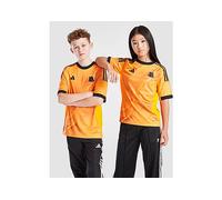 AS Roma 25/26 Away Jersey