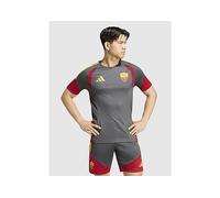 adidas AS Roma Tiro 26 Training Shirt - Grey - Mens XL