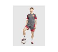 adidas AS Roma Tiro 26 Training Shorts - Grey - Mens XL
