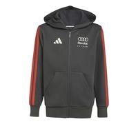 adidas AUDI REVOLUT F1 TEAM DNA FULL ZIP HOODIE