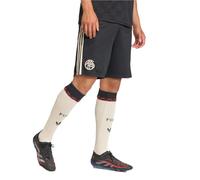 FC Bayern 25/26 Third Shorts