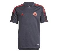 Adidas Bayern Munich Junior Tiro Training Jersey 2021/2022 Colour: Grey, Size: 7-8 years