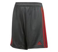 Adidas Bayern Munich Junior Training Short 2018/2019 Colour: Khaki, Size: 7-8 years