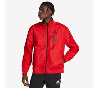 adidas Belgium 2022 World Cup Anthem Jacket