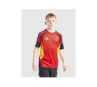 Adidas Belgium 26/27 Tiro Training Junior Short Sleeve T-shirt Red 11-12 Years Kids