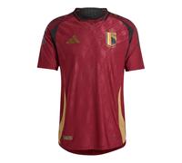 adidas Belgium 24 Home Authentic Soccer Jersey Asia Sizing Asia Sizing 'Burgundy' IM8440 M