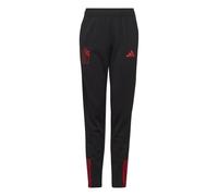 Adidas Belgium Junior Training Pant 2022 Colour: Black, Size: 11-12 years