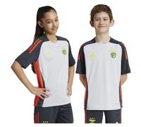 Adidas Benfica 24/25 Junior Short Sleeve T-shirt White 5-6 Years Kids