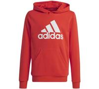 Adidas Big Logo Hoodie Jr IX9531 sweatshirt