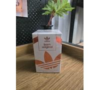 ADIDAS Born Original for Her Eau De Parfum 50ml Spray - Women's Sports Fragrance
