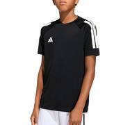adidas Boy's adidas Sereno T-Shirt Short Sleeve (Pack of 1)
