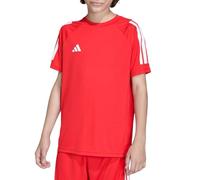 adidas Boy's adidas Sereno T-Shirt Short Sleeve (Pack of 1)