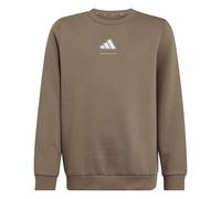 adidas Boy's Boys Slogan Fleece Sweatshirt, Khaki Six, 9-10 Years