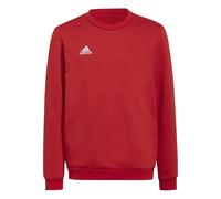 adidas Boys Ent22 Sweater Juniors in Red - Size 11-12Y