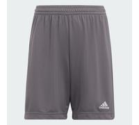 Adidas Boys Girls Ent 22 Shorts Junior Kids Aeroready Sports Football Age 5-16