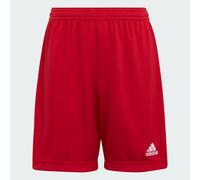 adidas Junior Entrada 22 Shorts