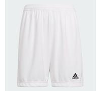 Adidas Boys Girls Ent 22 Shorts Junior Kids Aeroready Sports Football Age 5-16