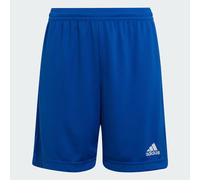 Adidas Boys Girls Ent 22 Shorts Junior Kids Aeroready Sports Football Age 5-16