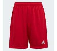 Adidas Boys Girls Ent 22 Shorts Junior Kids Aeroready Sports Football Age 5-16