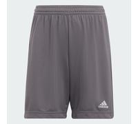 Adidas Boys Girls Ent 22 Shorts Junior Kids Aeroready Sports Football Age 5-16
