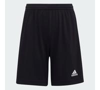 Adidas Boys Girls Ent 22 Shorts Junior Kids Aeroready Sports Football Age 5-16