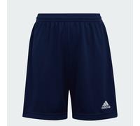 Adidas Boys Girls Ent 22 Shorts Junior Kids Aeroready Sports Football Age 5-16